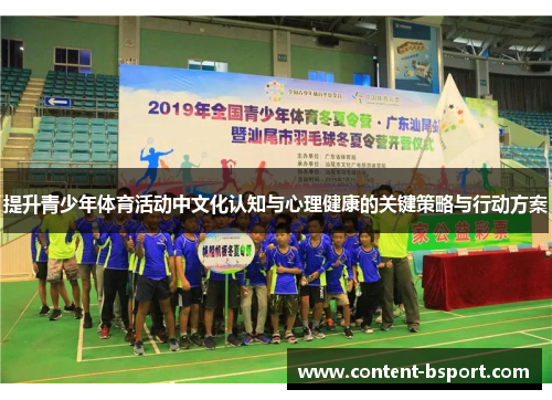 提升青少年体育活动中文化认知与心理健康的关键策略与行动方案