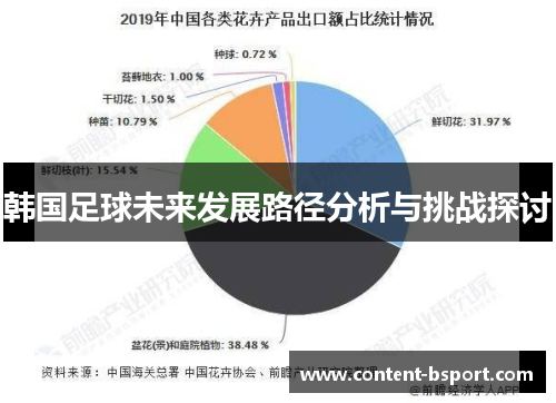 韩国足球未来发展路径分析与挑战探讨